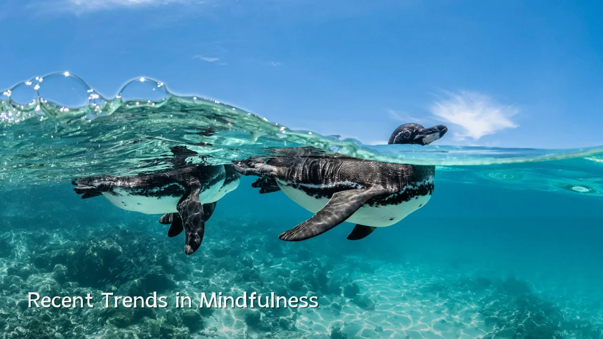 Recent Trends in Mindfulness