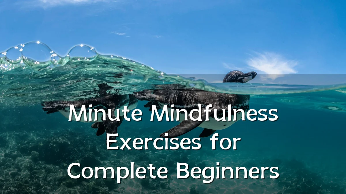 Minute Mindfulness Exercises for Complete Beginners