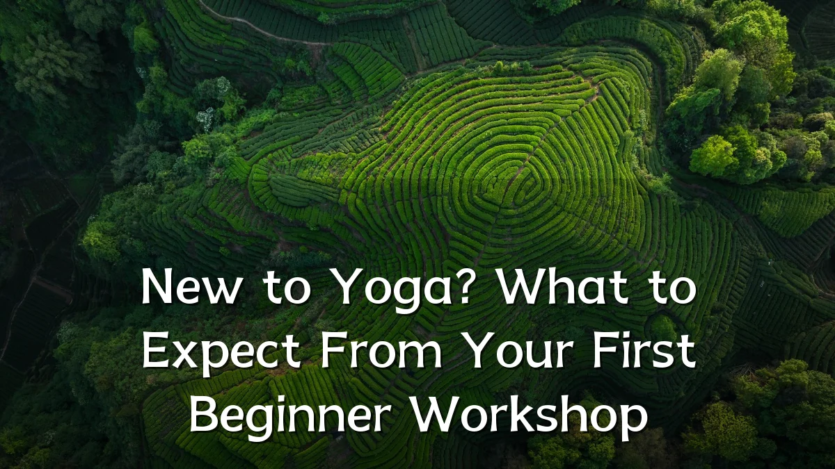 New to Yoga? What to Expect From Your First Beginner Workshop
