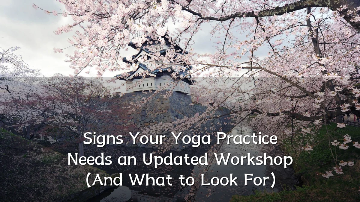 Signs Your Yoga Practice Needs an Updated Workshop (And What to Look For)