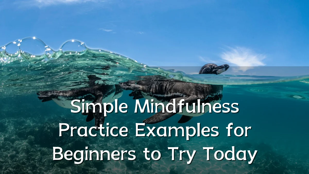 Simple Mindfulness Practice Examples for Beginners to Try Today