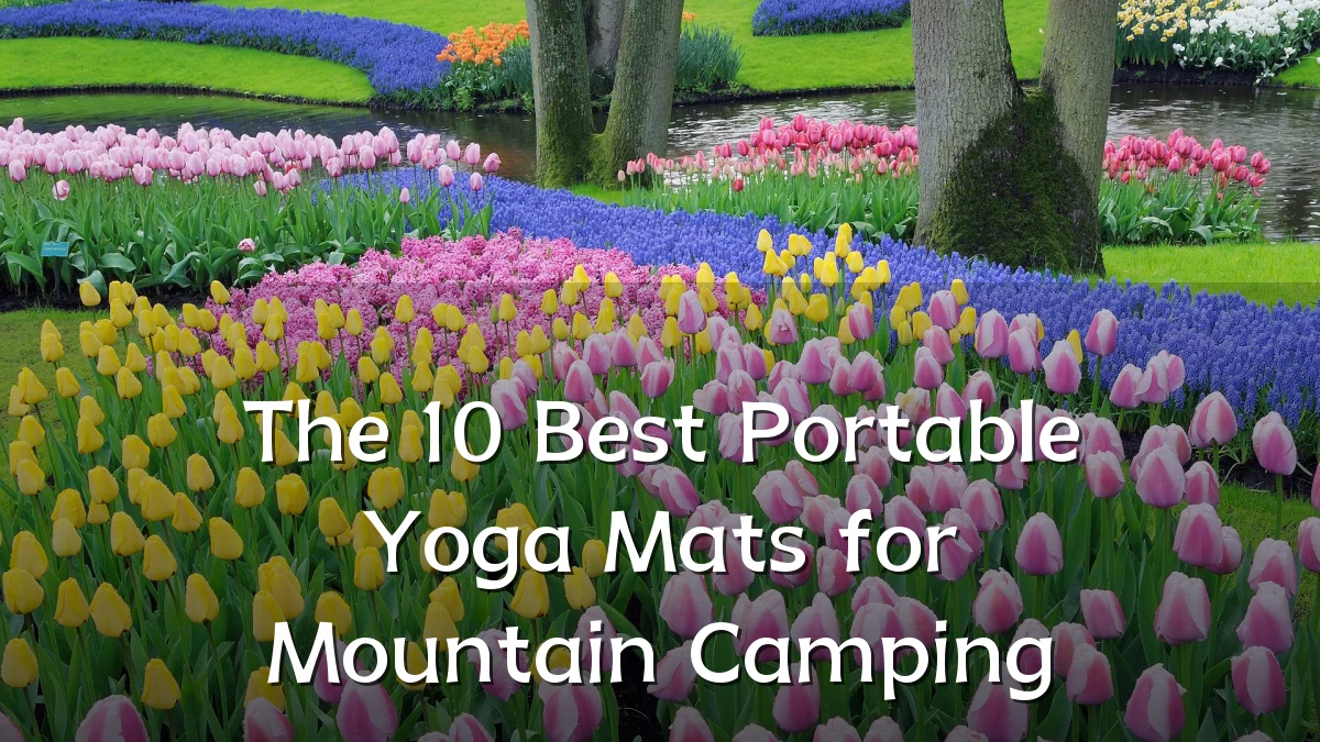 The 10 Best Portable Yoga Mats for Mountain Camping