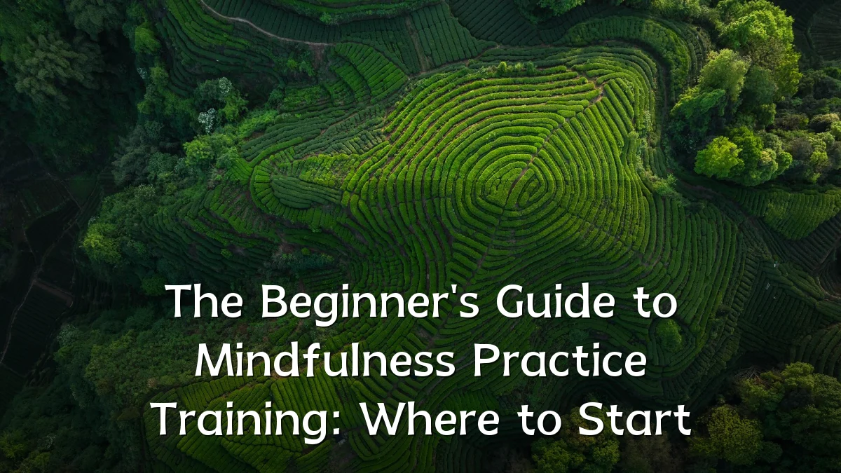 The Beginner's Guide to Mindfulness Practice Training: Where to Start