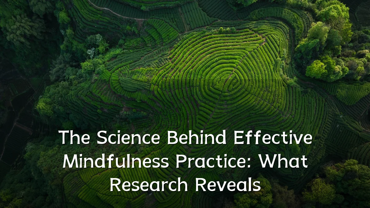 The Science Behind Effective Mindfulness Practice: What Research Reveals