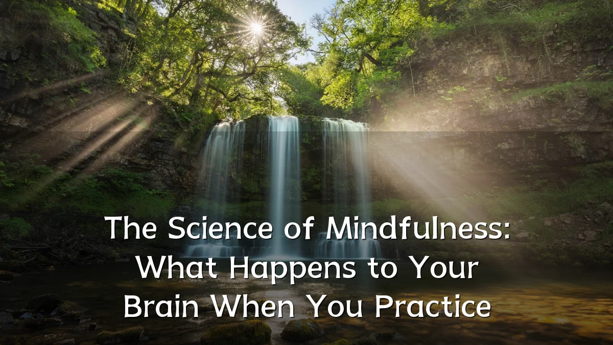 The Science of Mindfulness: What Happens to Your Brain When You Practice