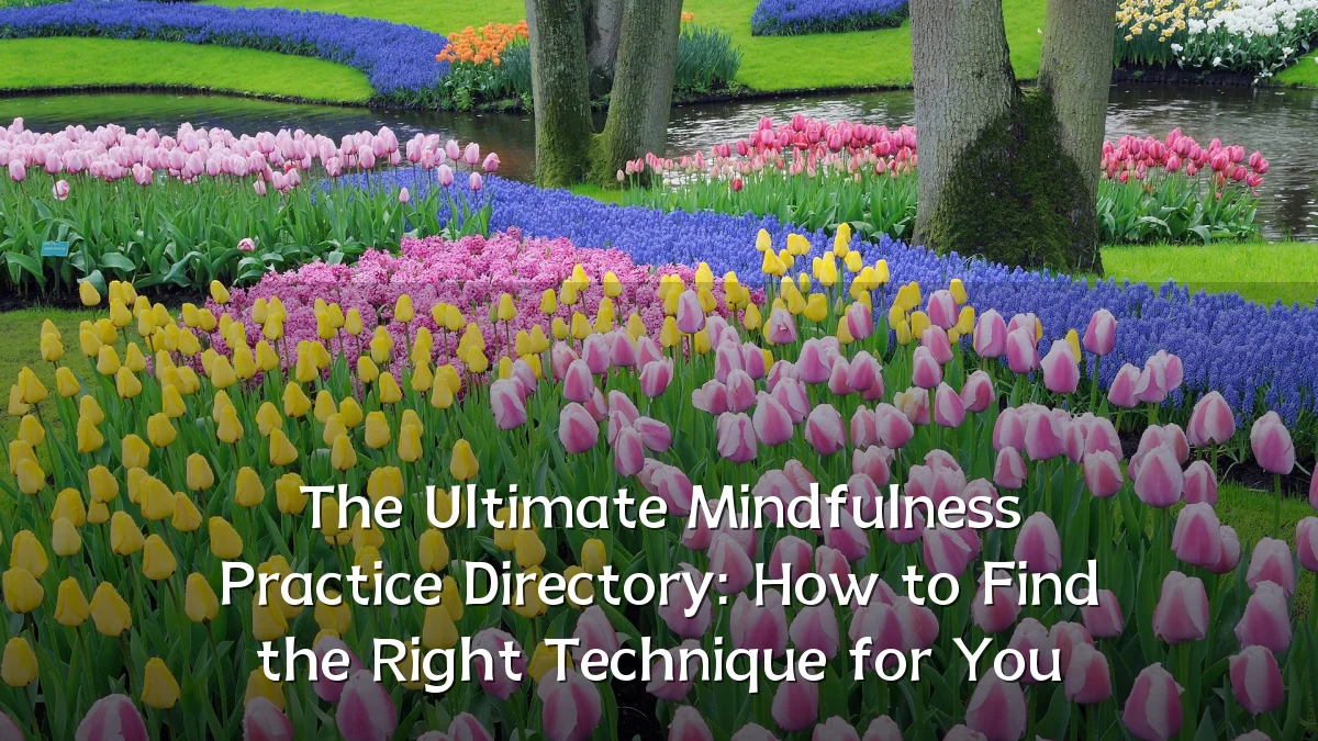 The Ultimate Mindfulness Practice Directory: How to Find the Right Technique for You