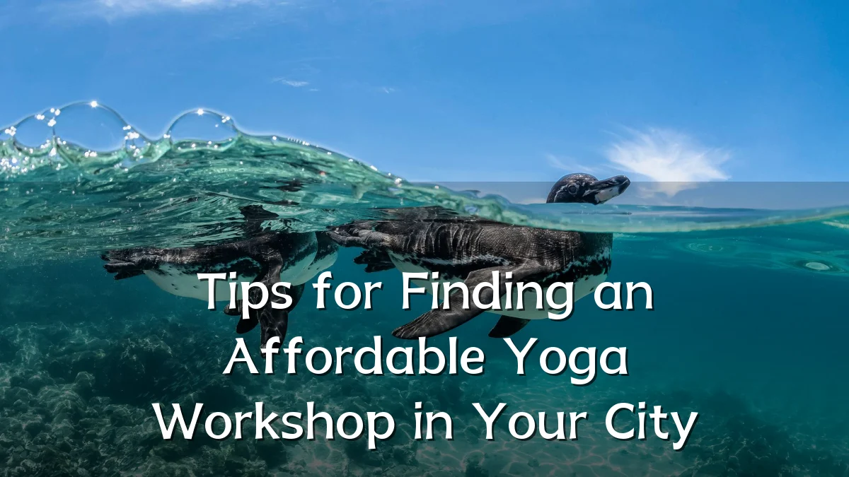 Tips for Finding an Affordable Yoga Workshop in Your City