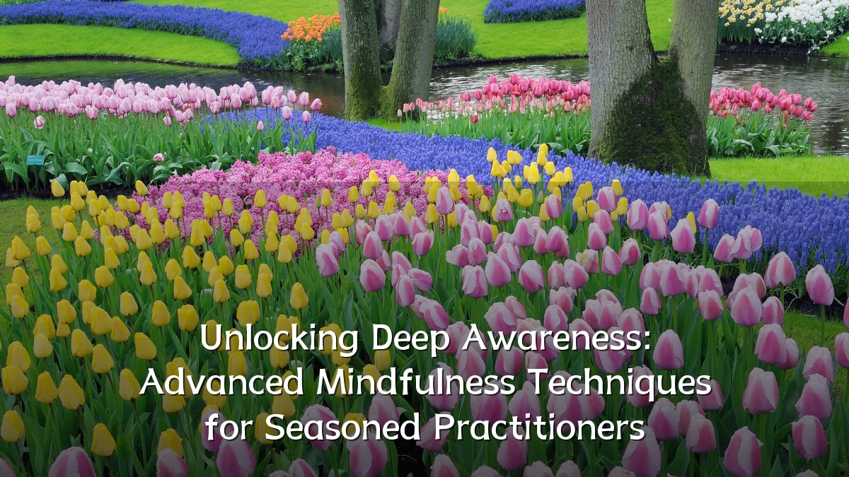 Unlocking Deep Awareness: Advanced Mindfulness Techniques for Seasoned Practitioners
