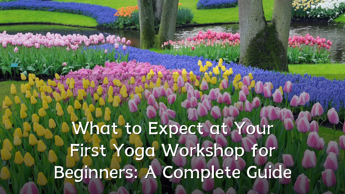 What to Expect at Your First Yoga Workshop for Beginners: A Complete Guide