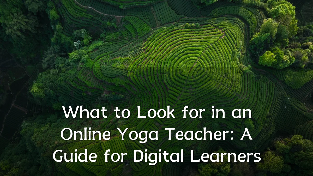 What to Look for in an Online Yoga Teacher: A Guide for Digital Learners