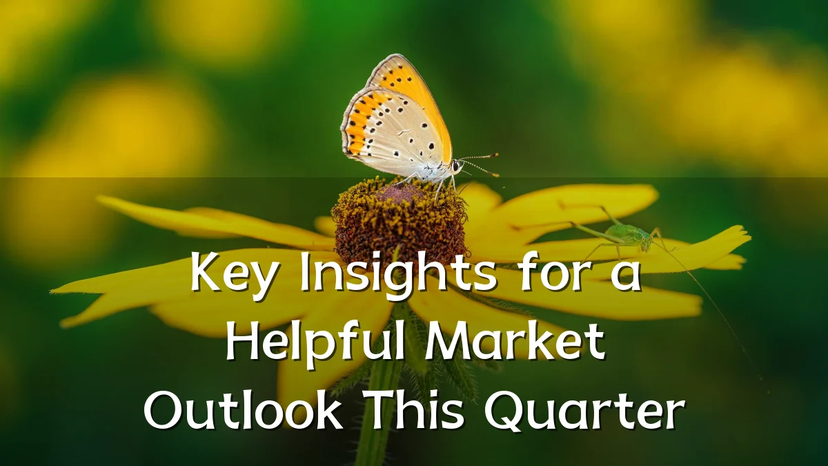 Key Insights for a Helpful Market Outlook This Quarter