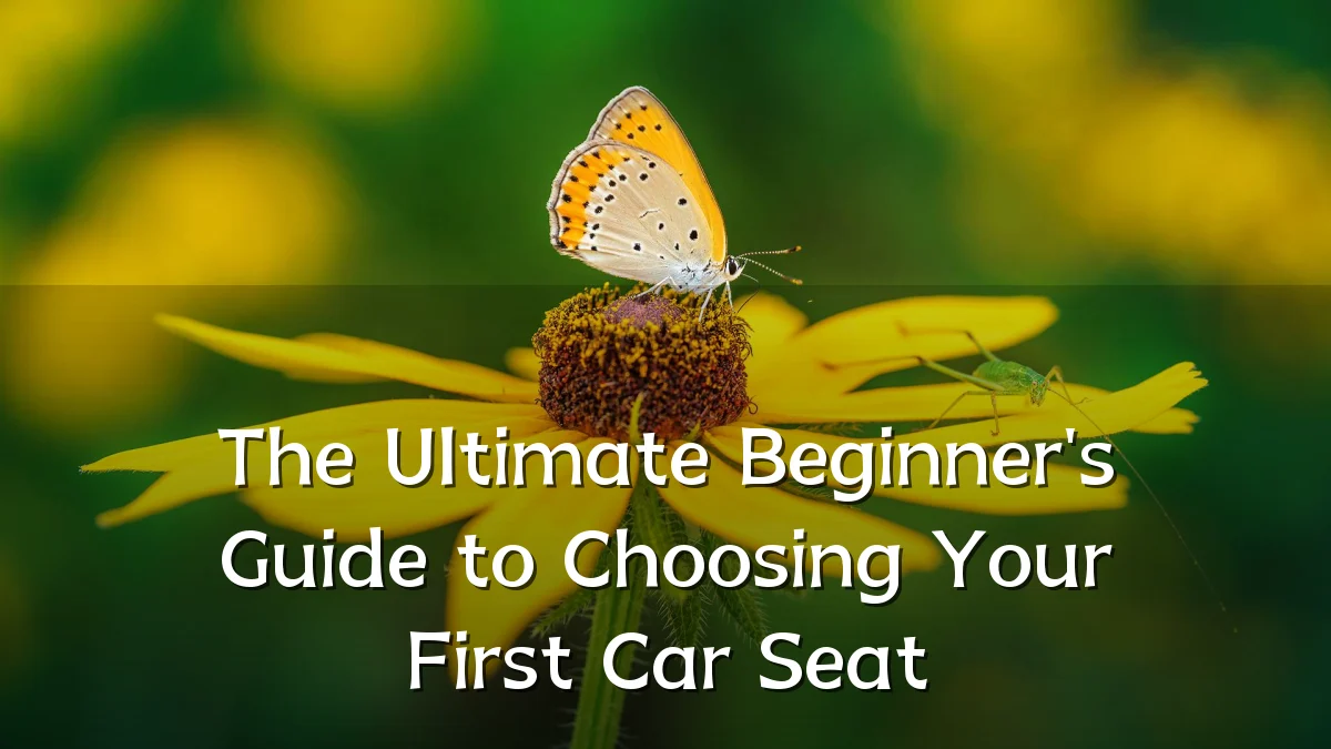 The Ultimate Beginner's Guide to Choosing Your First Car Seat