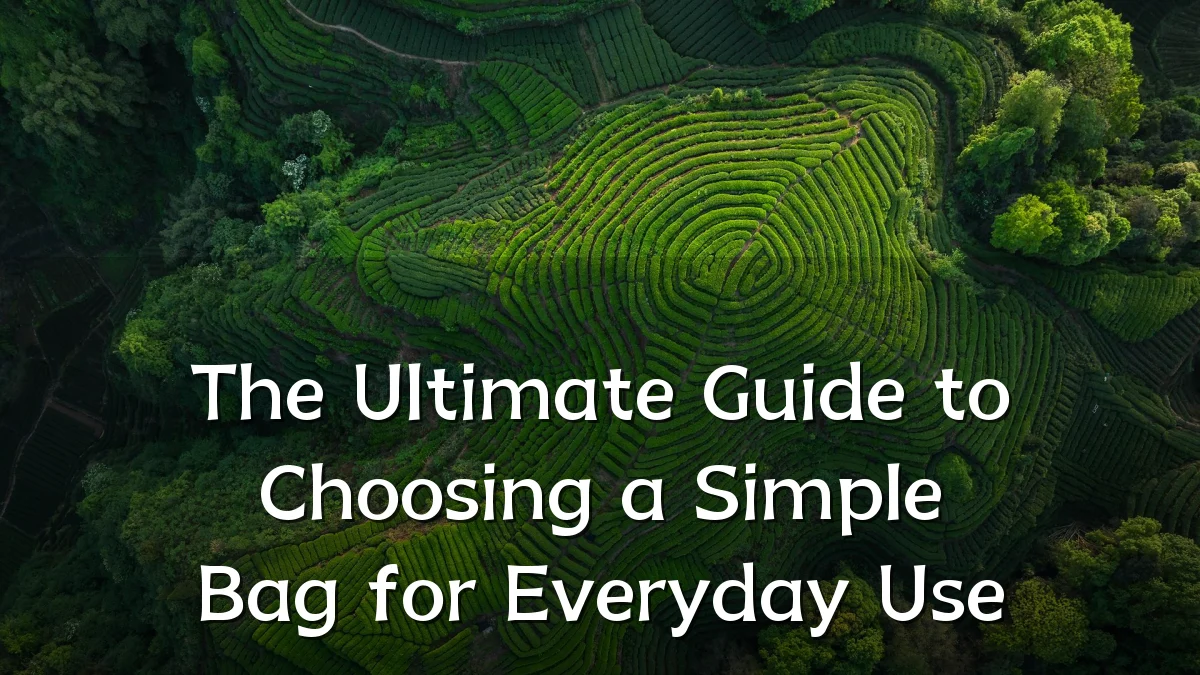 The Ultimate Guide to Choosing a Simple Bag for Everyday Use