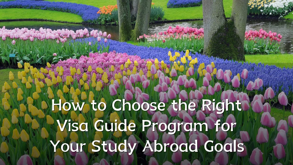 How to Choose the Right Visa Guide Program for Your Study Abroad Goals