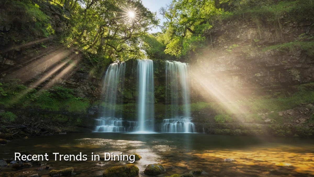 Recent Trends in Dining