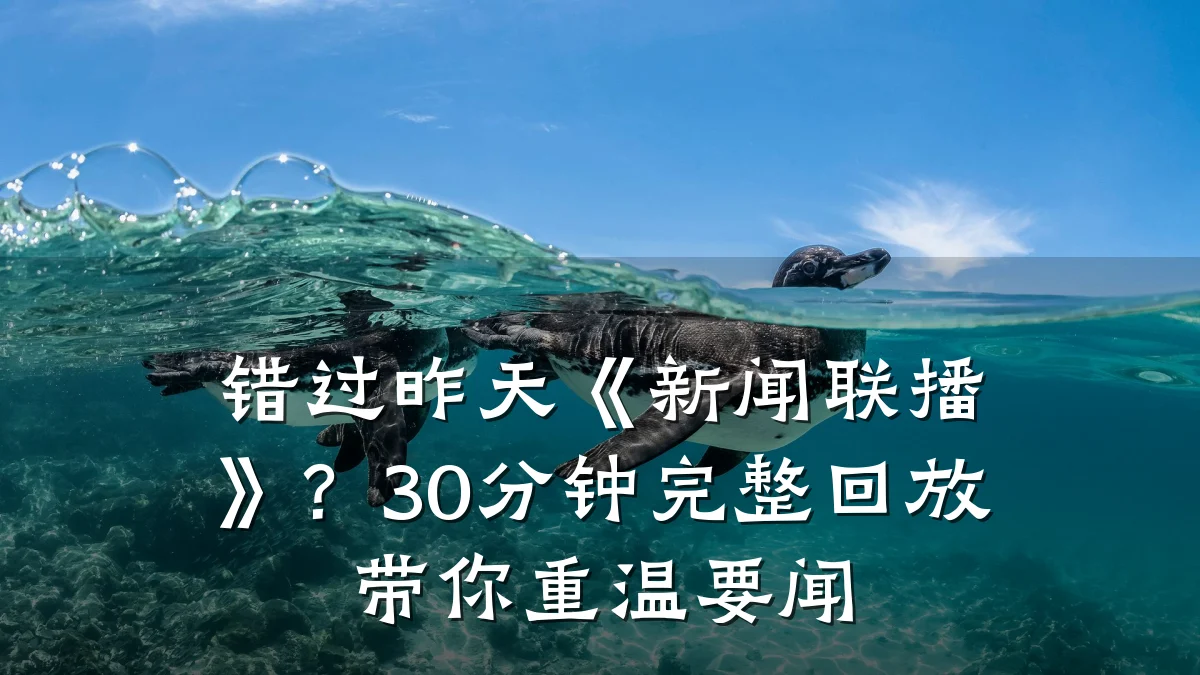 错过昨天《新闻联播》?30分钟完整回放带你重温要闻