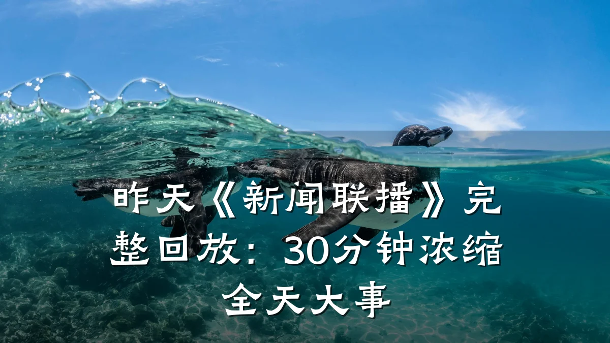 昨天《新闻联播》完整回放:30分钟浓缩全天大事
