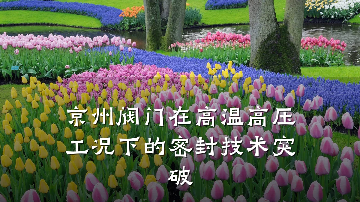 京州阀门在高温高压工况下的密封技术突破
